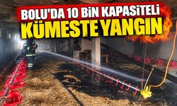Bolu'da 10 bin kapasiteli kümeste yangın