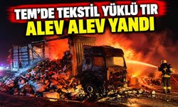 TEM'de tekstil yüklü tır alev alev yandı