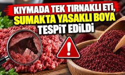 Kıymada Tek Tırnaklı Eti, Sumakta Yasaklı Boya Tespit Edildi