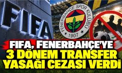 FIFA, Fenerbahçe'ye 3 dönem transfer yasağı cezası verdi