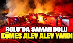 Bolu'da saman dolu kümes alev alev yandı