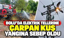 Bolu'da elektrik tellerine çarpan kuş yangına sebep oldu