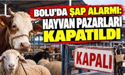 Bolu’da Şap Alarmı: Hayvan Pazarları Kapatıldı