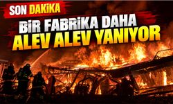 Kapı fabrikası alev alev yanıyor