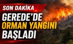 Gerede'de orman yangını başladı