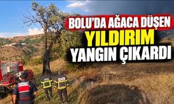 Bolu’da ağaca düşen yıldırım yangın çıkardı