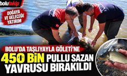 Bolu'da Taşlıyayla Göleti'ne 450 bin pullu sazan yavrusu bırakıldı