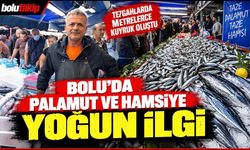Bolu'da palamut ve hamsiye yoğun ilgi: Tezgahlarda metrelerce kuyruk oluştu