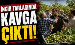 İncir tarlasında kavga çıktı