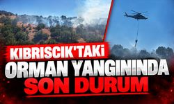 Kıbrıscık'taki orman yangınında son durum