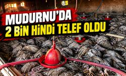 Mudurnu'da hindi kümesinde yangın