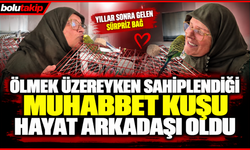 Ölmek üzereyken sahiplendiği muhabbet kuşu hayat arkadaşı oldu