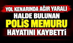 Yol kenarında ağır yaralı halde bulunan polis memuru hayatını kaybetti