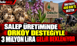 Salep üretiminde ORKÖY desteğiyle 3 milyon lira gelir bekleniyor