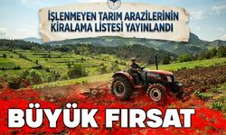 İşlenmeyen Tarım Arazileri Kiraya Veriliyor