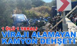 Virajı alamayan kamyon kaza yaptı