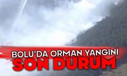 Bolu'da orman yangını son durum