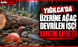 Yığılca'da acı olay: Üzerine ağaç devrilen işçi yaşamını yitirdi