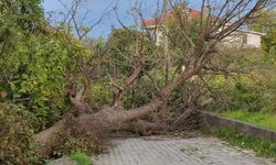 Kastamonu'nun sahil ilçelerinde fırtına hayatı olumsuz etkiledi