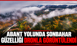 Abant yolunda sonbahar güzelliği dronla görüntülendi