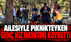 Ailesiyle piknikteyken genç kız hayatını kaybetti