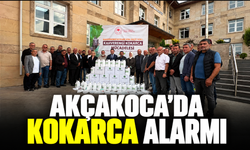 Akçakoca'da kokarca alarmı