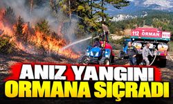 Anız yangını ormana sıçradı