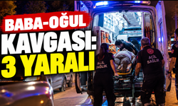 Baba-oğul kavgası: 3 yaralı