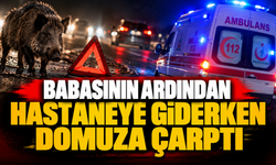 Babasının ardından hastaneye giderken domuza çarptı