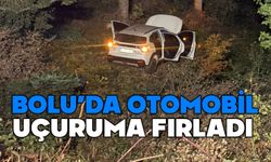 Bolu'da otomobil uçuruma fırladı