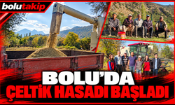 Bolu’da çeltik hasadı başladı