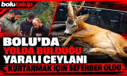 Bolu'da yolda bulduğu yaralı ceylanı kurtarmak için seferber oldu