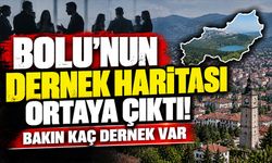 Bolu’nun Dernek Haritası Ortaya Çıktı! Bakın Kaç Dernek Var