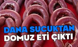 BAKANLIĞIN TAKLİT VE TAĞŞİŞ LİSTESİ GÜNCELLENDİ! DANA SUCUKTAN DOMUZ ETİ ÇIKTI