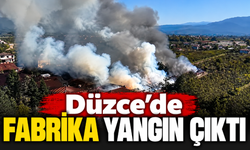 Düzce'de fabrika yangın çıktı