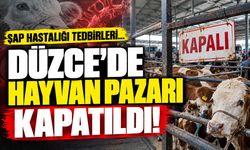 Düzce hayvan pazarı tedbir amaçlı kapandı