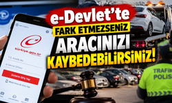 Bolu’da araç sahiplerini ilgilendiriyor: e-Devlet’te fark etmeyen aracını kaybedebilir!