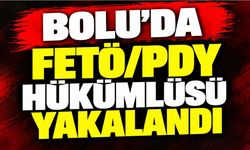 Bolu’da FETÖ/PDY hükümlüsü yakalandı