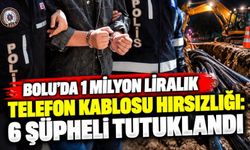 Bolu’da 1 Milyon Liralık Telefon Kablosu Hırsızlığı: 6 Şüpheli Tutuklandı