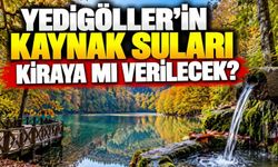 Yedigöller’in kaynak suları kiraya mı verilecek?
