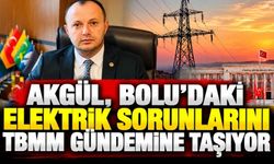 AKGÜL, BOLU’DAKİ ELEKTRİK SORUNLARINI TBMM GÜNDEMİNE TAŞIYOR