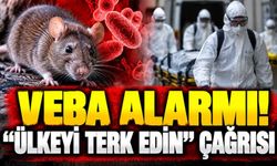 Veba alarmı! "Ülkeyi terk edin" çağrısı