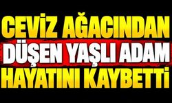 Ceviz ağacından düşen yaşlı adam hayatını kaybetti