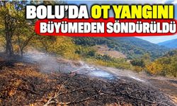 Bolu’da ot yangını büyümeden söndürüldü