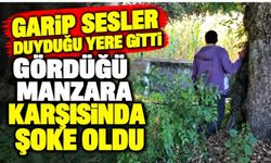 Garip sesler duyduğu yere gitti, gördüğü manzara karşısında şoke oldu