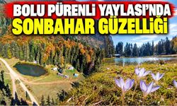 Bolu Pürenli Yaylası’nda sonbahar güzelliği
