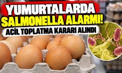 Yumurtalarda salmonella alarmı! Acil toplatma kararı alındı