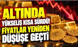 Altında yükseliş kısa sürdü! Fiyatlar yeniden düşüşe geçti