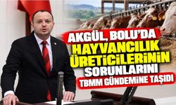 AKGÜL, BOLU’DA HAYVANCILIK ÜRETİCİLERİNİN SORUNLARINI TBMM GÜNDEMİNE TAŞIDI