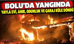 Bolu’da yangında yayla evi, ahır, odunluk ve garaj küle döndü
